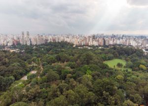 Ibirapuera São Paulo