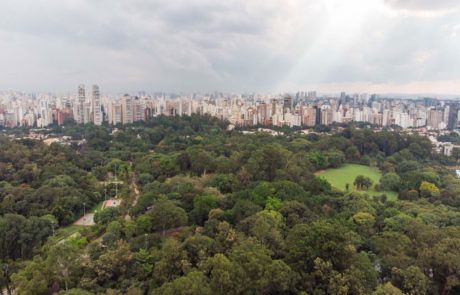 Ibirapuera São Paulo