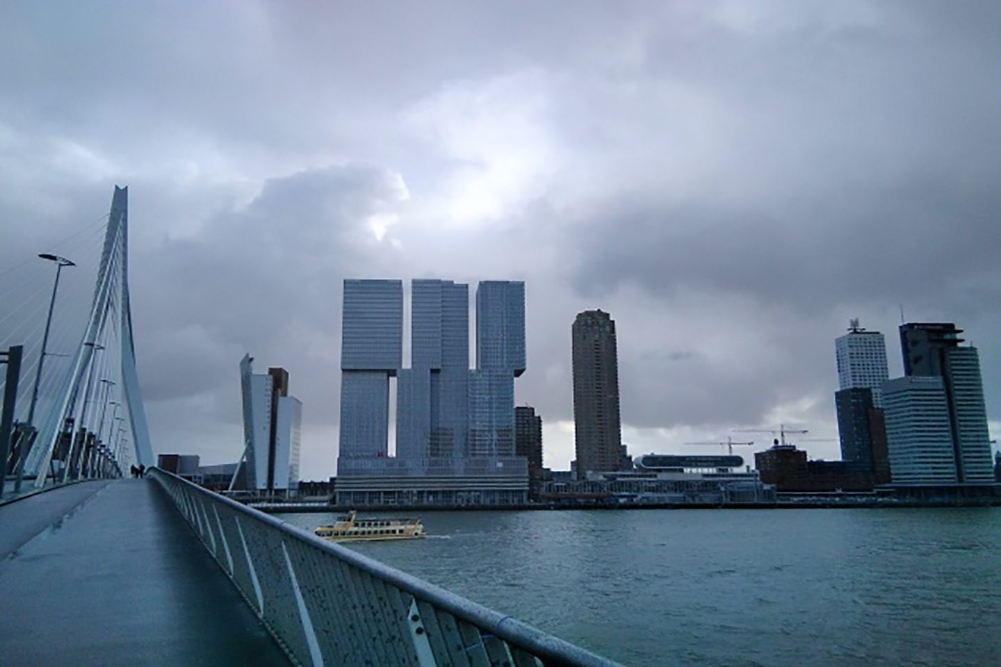Rotterdam muelles